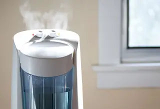 Humidifier & Dehumidifier: What’s the Difference?