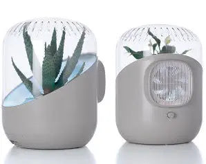 Air Purifier an Investment in Health
