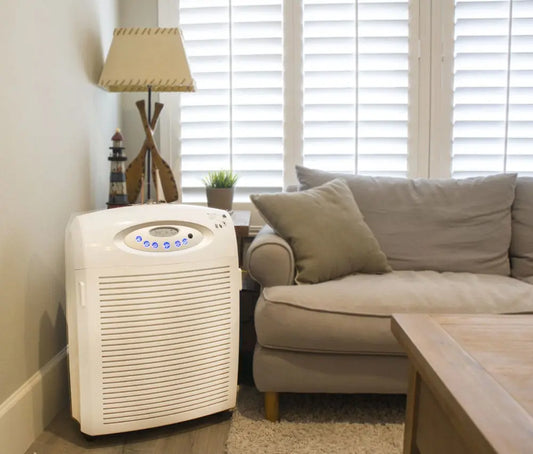 Real Results: Clients Breathe Easier with Atlas Air Purifiers and Dehumidifiers