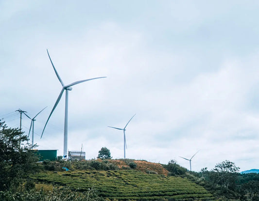 Wind turbines generate renewable energy on a grassy hill.