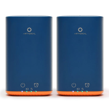 PA300-GO Portable Ozone Generator